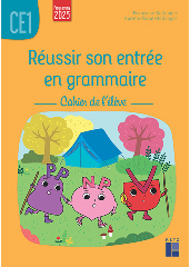 Réussir son entrée en grammaire CE