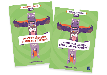 Totem CE2
