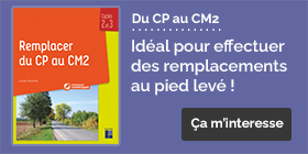 Ouvrage Remplacer du CP au CM2