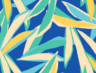 113800-1 idée par jour