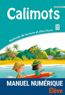 Illustration 1