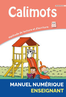 Illustration 1