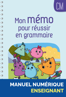 Illustration 1