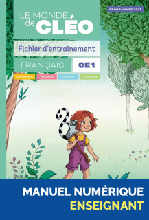 Illustration 1