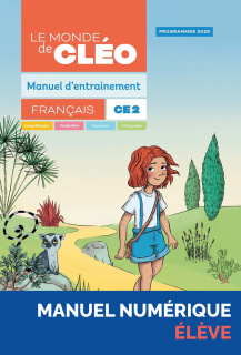 Illustration 1