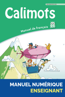 Illustration 1