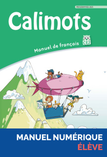 Illustration 1