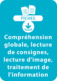 Lecture CE1 - 2. Compréhension globale, lecture de consignes, lecture d'image, traitement de l'information