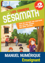 Les cahiers Sésamath CM2