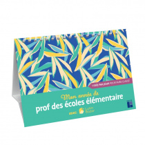 Mon année de prof des écoles élémentaire avec Lutin Bazar