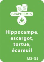 Graphismes et animaux - MS-GS : Hippocampe, escargot, tortue, écureuil 