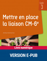 Mettre en place la liaison CM-6e