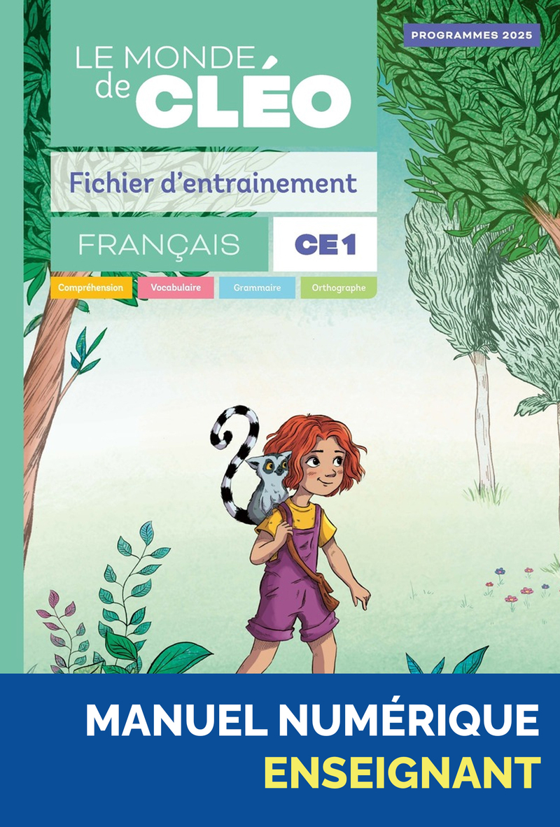 Illustration 1
