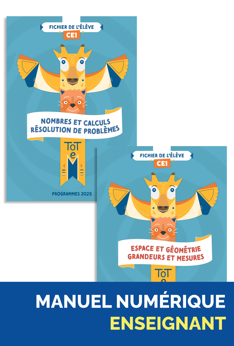 Illustration 1